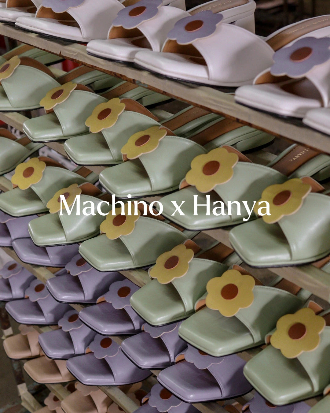 Machino Roses Machino x Hanya β Machino Group Sdn Bhd 1549199D