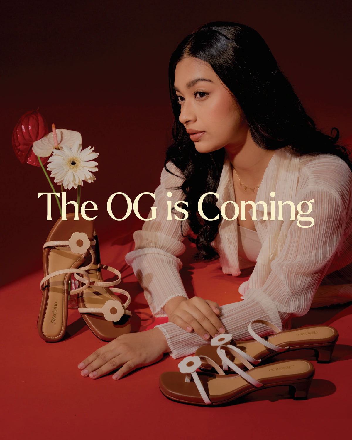 Machino Roses The Origin of Hana Flower β Machino